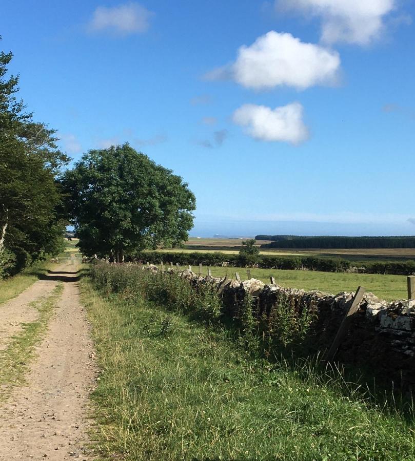 Caithness View Luxury Farm Lodges And Bbq Huts ويك المظهر الخارجي الصورة